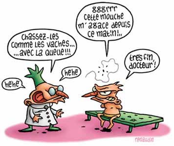 les mouches